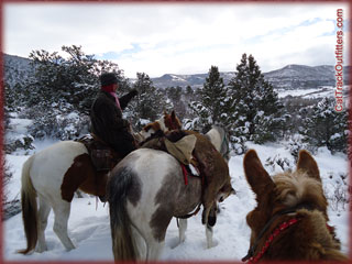 mountain lion hunting in Colorado