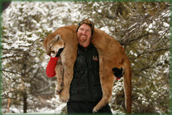 Colorado Mountain Lion Hunts guided by Cat Track Outfitters