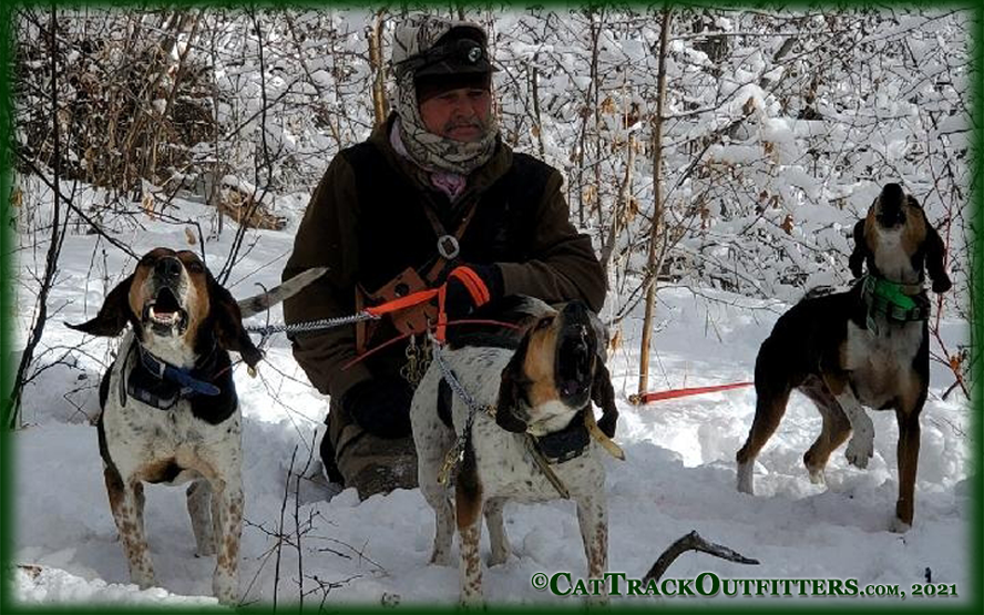 mountain lion hunting with Cat Track Guides and Outfitters in Western Colorado