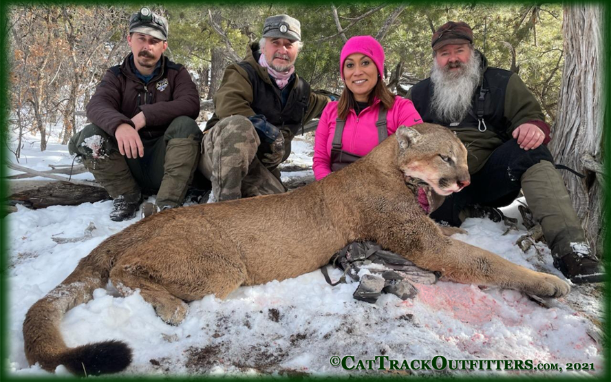 mountain lion hunting with Cat Track Guides and Outfitters in Western Colorado