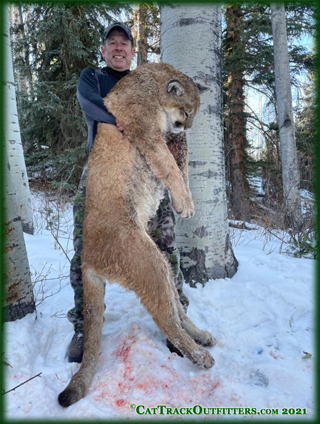 mountain lion hunting in Colorado