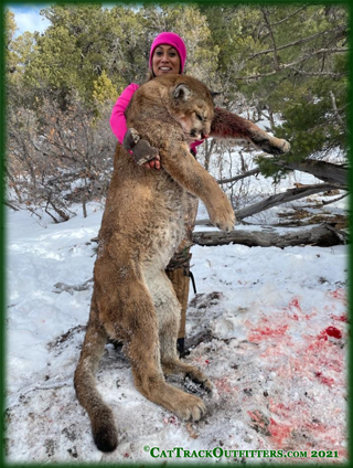 mountain  lion hunting in Western Colorado