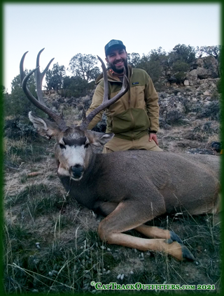 mule deer hunting in colorado