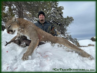 mountain lion hunt in Colorado