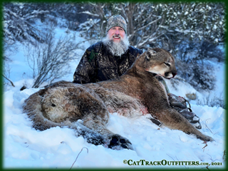 mountain lion hunting in Colorado - archery