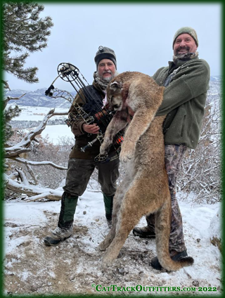 mountain lion hunting in Colorado