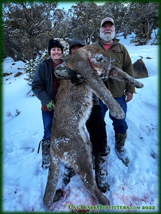 Mountain Lion Hunts in Colorado