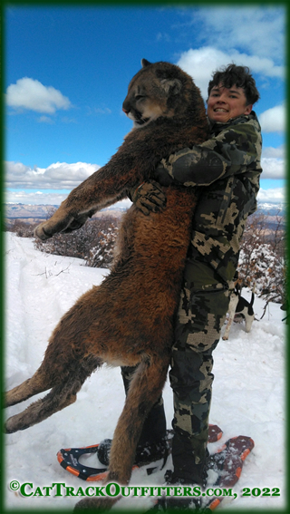 Mountain Lion hunting in Colorado