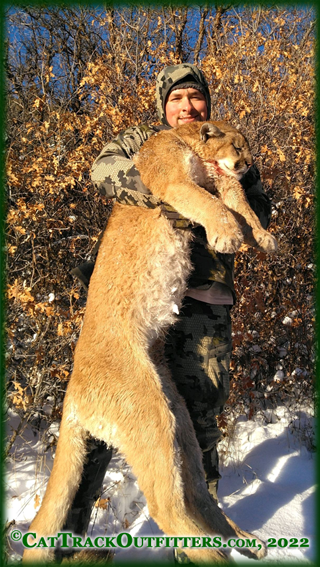 mountain lion hunting in Colorado