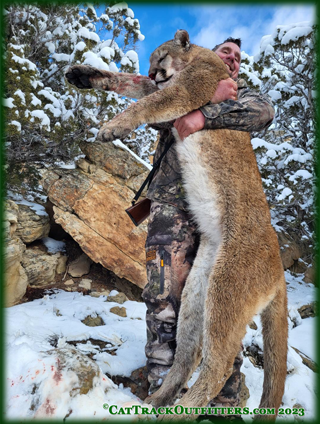 guided mountain lion hunts in Colorado