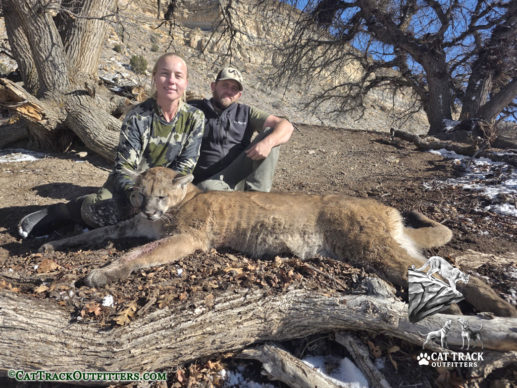 Mountain Lion Hunting in Colorado