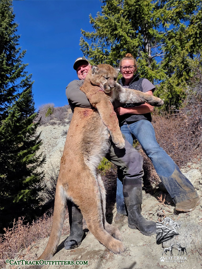 Mountain Lion Hunting in Colorado