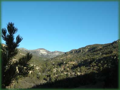 Western Colorado guided mountain lion archery hunt