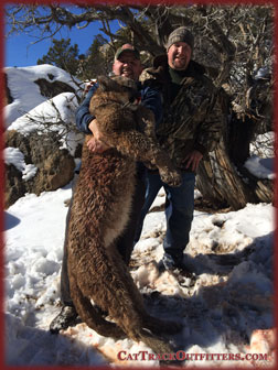 Colorado lion hunting - a guided big game hunt in Collbran Colorado