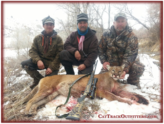 Colorado lion hunting - a guided big game hunt in Collbran Colorado