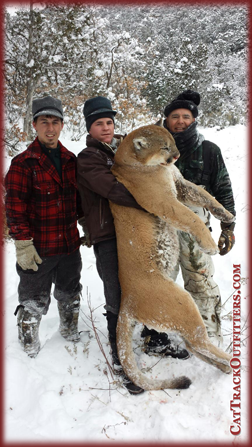 big tom in CO - mountain lion taken by TX hunter in CO