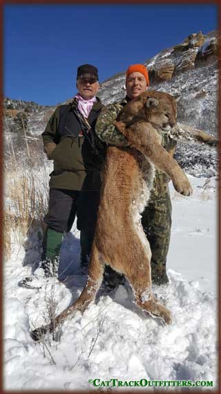 Mountain Lion hunting in Colorado