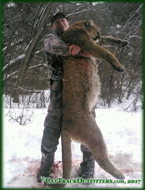 Colorado lion hunting guide and outfitter, Cat Track took this hunter mountain lion hunting in Colorado