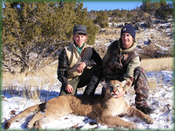 mountain lion hunting in Colorado