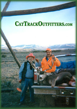 Colorado lion hunting - a guided big game hunt in Collbran Colorado