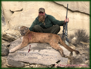 mountain lion hunting in Colorado