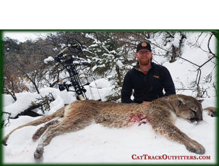 big game hunting Corey gets this mountain lion hunting in Western Colorado