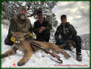 Colorado mountain lion hunting