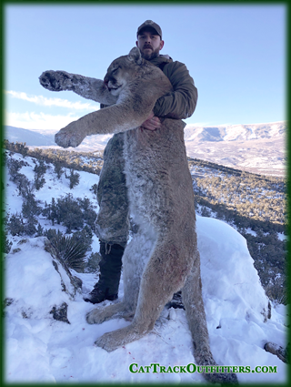 Cat Track Outfitters - deer hunting in Western Colorado