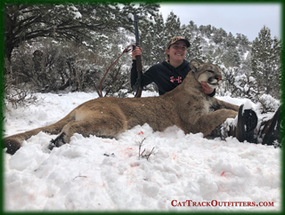 mountain lion hunting in Colorado