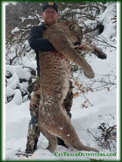 mountain lion hunting in Colorado