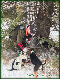 CO mountain lion hunting