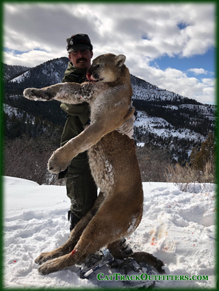 Colorado archery hunting guide and outfitter in Colorado