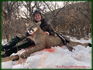 Mountain Lion Hunts in Colorado