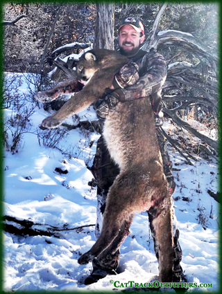 mountain lion hunts in Western Colorado with Cat Track Outfitters